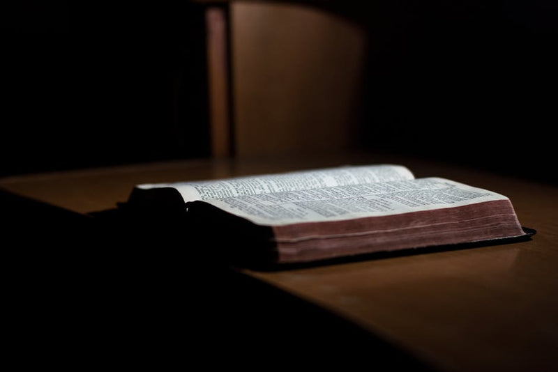 What Is the Difference Between a Bible Cover Versus a Bible Case?